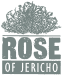 Rose of Jericho Logo